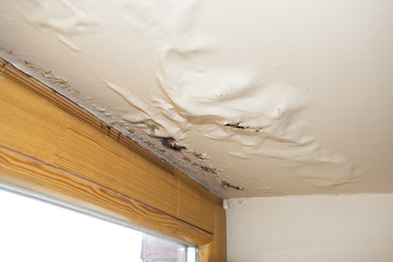 How to Help After Water Damage Strikes